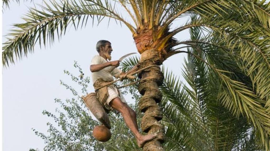 নওগাঁয় শীতের সকালে খেজুর রসের স্বাদ
