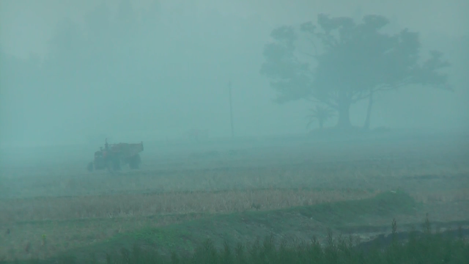 Naogaon Winter pic (11) (1)