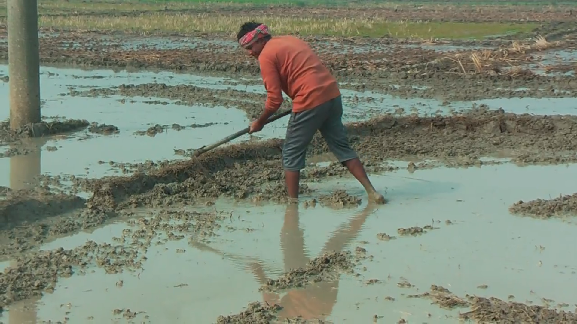 Naogaon Winter pic (6) (2)